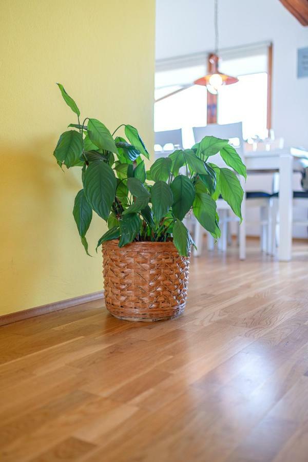 Apartman Skroza Vodice Dış mekan fotoğraf